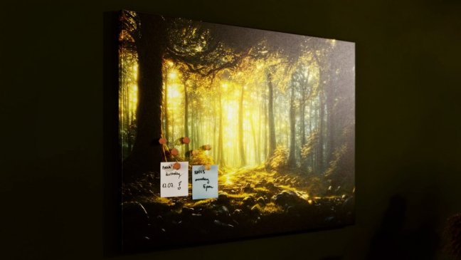 Obraz  Rozprávkový les 90x60 ALLboards CANVAS