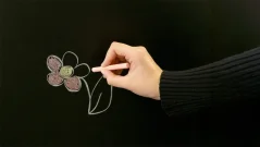 Křída na tabule – sada 12 kusů: 6 bílých + 6 barevných