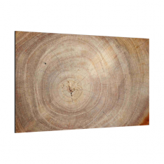 Skleněná magnetická tabule- dekorativní obraz DŘEVO 60x40 cm
