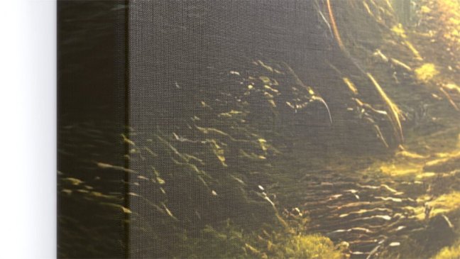 Obraz  Rozprávkový les 90x60 ALLboards CANVAS