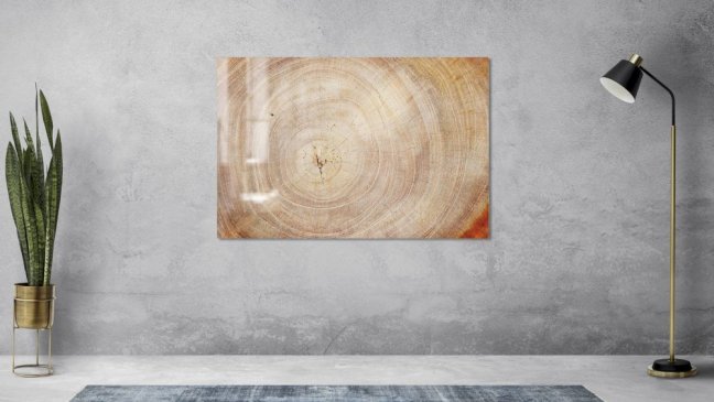 Sklenená magnetická tabule- dekoratívne obraz DREVO 60x40 cm