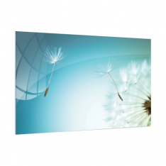 Skleněná magnetická tabule- dekorativní obraz PAMPELIŠKA 60x40 cm