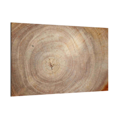 Sklenená magnetická tabule- dekoratívne obraz DREVO 60x40 cm