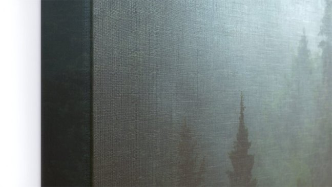 Obraz Les v hmle 90x60 ALLboards CANVAS