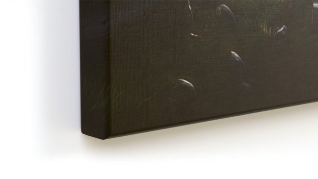 Obraz  Rozprávkový les 90x60 ALLboards CANVAS
